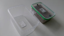 Load image into Gallery viewer, Mushroom Mycelium Grow Box with Substrate and Fruiting Chamber