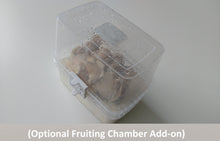Load image into Gallery viewer, Mushroom Mycelium Grow Box with Substrate and Fruiting Chamber