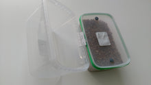 Load image into Gallery viewer, Mushroom Mycelium Grow Box with Substrate and Fruiting Chamber
